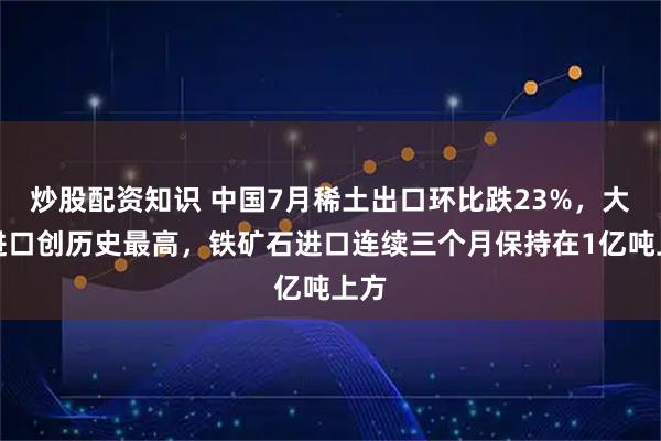 炒股配资知识 中国7月稀土出口环比跌23%，大豆进口创历史最高，铁矿石进口连续三个月保持在1亿吨上方
