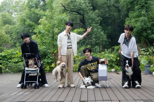 炒股配资知识 《你就宠ta吧》：一场关于“人宠共融”的社会实践