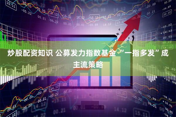 炒股配资知识 公募发力指数基金 “一指多发”成主流策略